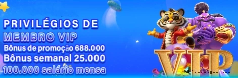 Arraialpg.com Cassino Clássico
